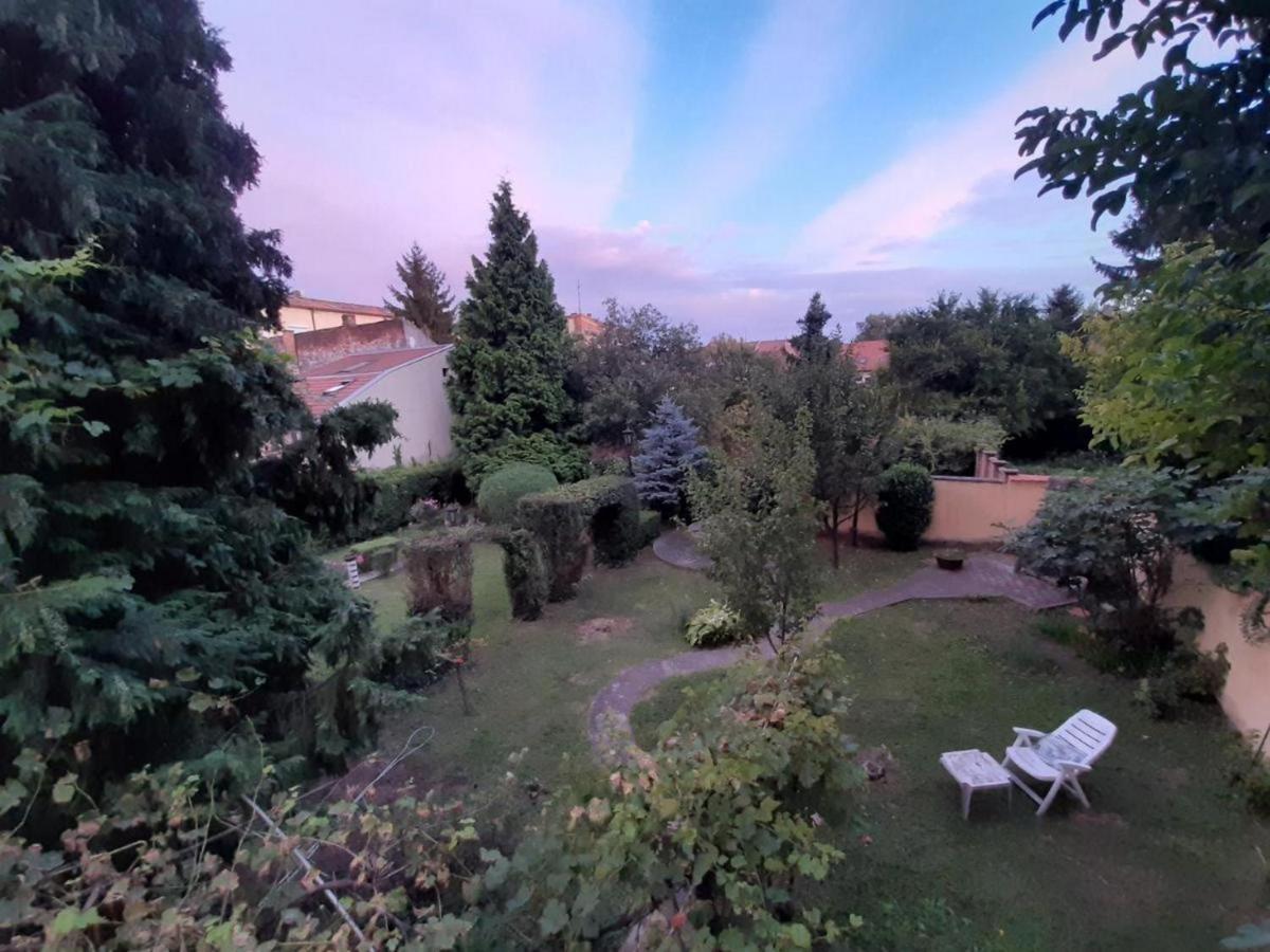 Cocic Garden Leilighet Osijek Eksteriør bilde