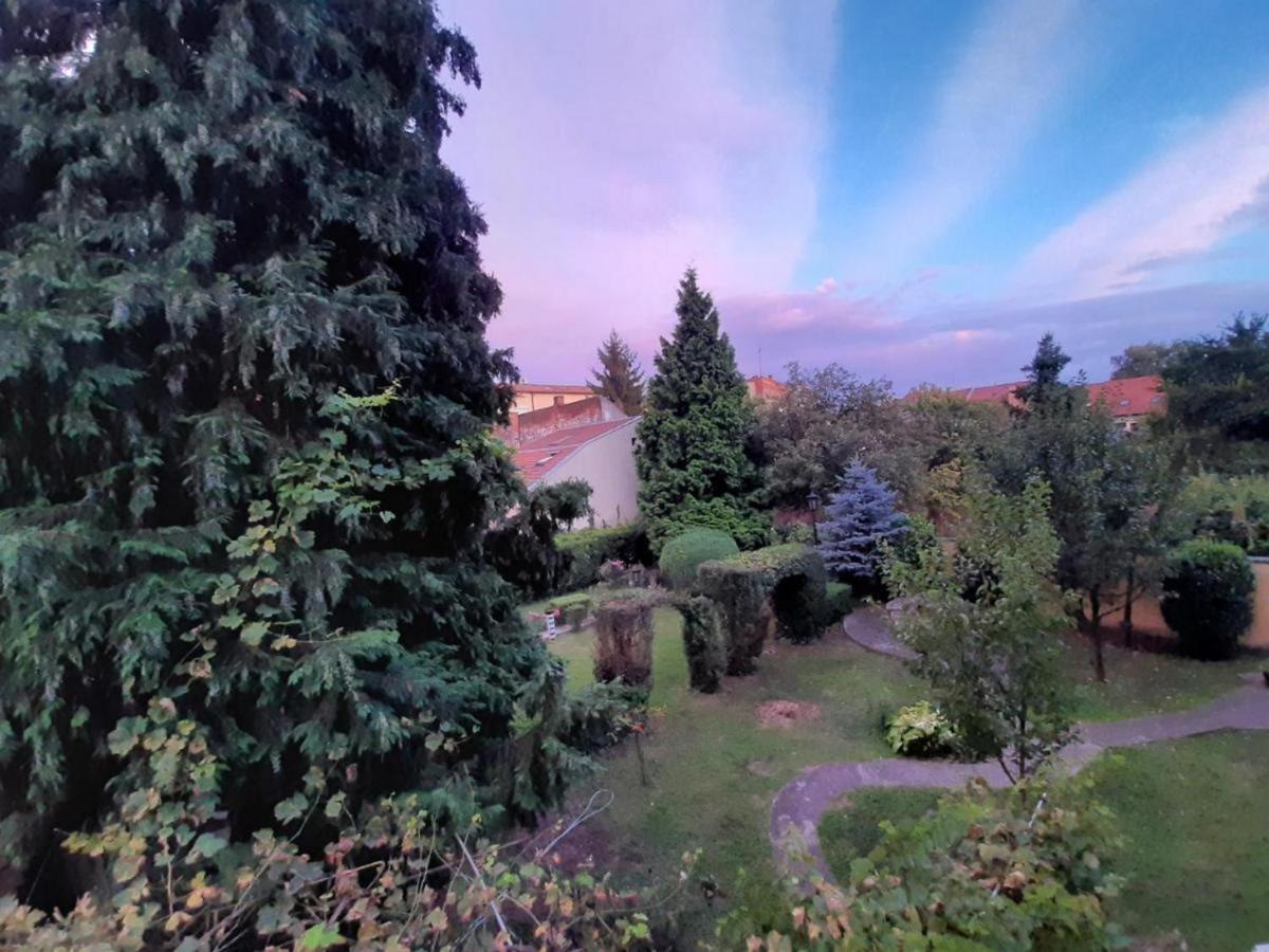 Cocic Garden Leilighet Osijek Eksteriør bilde